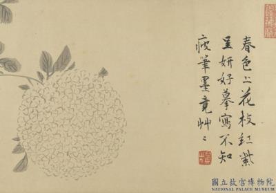 图片[2]-Flowers and Plants-China Archive